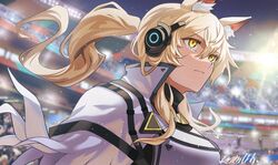  animal_ear_fluff animal_ears arknights blonde_hair breasts closed_mouth crowd female hair_between_eyes headset horse_ears implied_extra_ears large_breasts long_hair memetaroh nearl_(arknights) nearl_the_radiant_knight_(arknights) ponytail serious sidelocks signature solo_focus stadium upper_body v-shaped_eyebrows yellow_eyes 