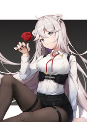  absurdres ahoge animal_ears bad_id bad_twitter_id black_nails black_pantyhose black_shorts breasts closed_mouth collared_shirt commentary corset ear_piercing eyes_visible_through_hair female fingernails flower grey_eyes grey_hair hair_between_eyes highres holding holding_flower hololive knee_up large_breasts lion_ears long_hair long_sleeves looking_at_viewer nail_polish official_alternate_costume official_alternate_hairstyle pantyhose piercing red_flower red_rose rose sharp_fingernails shirt shishiro_botan shishiro_botan_(button-down) short_shorts shorts shyi simple_background sitting solo thigh_strap very_long_hair virtual_youtuber white_shirt 