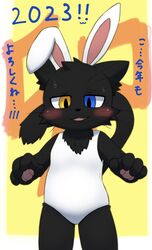  2023 anthro black_body black_fur blurred_background clothing digital_drawing_(artwork) digital_media_(artwork) domestic_cat fake_ears fake_rabbit_ears fan_character felid feline felis fur heterochromia hi_res leotard long_tail looking_at_viewer male mammal one-piece_swimsuit roshu39 solo swimwear tail text translated white_clothing white_leotard white_one-piece_swimsuit young young_anthro young_male 