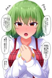  ascot blush breasts collarbone collared_shirt commentary female flying_sweatdrops fusu_(a95101221) green_hair hair_between_eyes hand_on_own_chest highres kazami_yuuka large_breasts long_sleeves nose_blush open_clothes open_mouth open_vest own_hands_together plaid plaid_vest red_eyes red_vest shirt short_hair simple_background solo speech_bubble tearing_up tears touhou translated upper_body vest wavy_hair white_background white_shirt yellow_ascot 