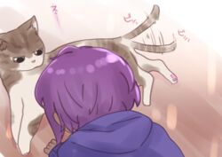  afterimage animal blue_hoodie commentary_request dark-skinned_female dark_skin facing_away fate/prototype fate/prototype:_fragments_of_blue_and_silver fate_(series) feline female hassan_of_serenity_(fate) highres hood hood_down hoodie i.u.y long_sleeves purple_hair sleeves_past_wrists solo tail tail_wagging 