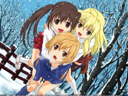  minami-ke minami_chiaki minami_haruka minami_kana snow vector winter 