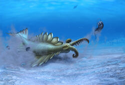  2014 ambiguous_gender anomalocarid anomalocaris arthropod blue_body blue_exoskeleton chasing claws detailed_background duo_focus exoskeleton feral fin great_appendages grey_body group imminent_death imminent_vore larger_ambiguous larger_feral marine olorotitan_(artist) pikaia radiodonta sand size_difference smaller_ambiguous smaller_feral swimming trilobite underwater water yellow_eyes 