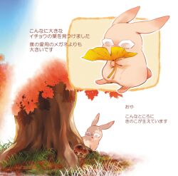  animalization bad_id bad_pixiv_id barnaby_brooks_jr. glasses leaf mochi_mocchi no_humans outdoors rabbit smelling solo tiger_&amp;_bunny translation_request 