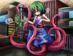  bird birdcage burn burn_scar cage female green_hair grey_eyes heart monster monster_girl mouth name_tag parakeet ray-k scar scylla silver_eyes skull_and_crossbones spoken_heart stitches stomach_mouth tentacle tongue you_gonna_get_raped 