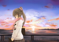  blue_eyes brown_hair clouds long_hair ponytail scarf sunset 