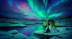  2019 akitamonster amazing_background black_hair blue_eyes canid canine detailed detailed_background digital_media_(artwork) elnin eyebrows eyelashes female feral fur grey_body grey_fur hair mammal night outside sitting sky snow solo star starry_sky 