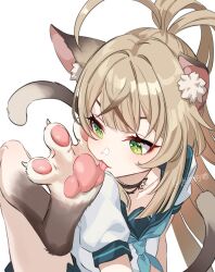  ahoge alternate_costume animal_ear_fluff animal_ears animal_feet animal_hands barefoot black_choker cat_ears cat_girl cat_tail choker claws collarbone colored_extremities female genshin_impact green_eyes hair_intakes hashtag-only_commentary honlo kirara_(genshin_impact) leg_up licking licking_foot licking_paw light_brown_hair long_hair monster_girl multiple_tails neckerchief pawpads sailor_collar school_uniform serafuku short_sleeves simple_background solo tail tongue tongue_out two_tails username white_background white_serafuku 