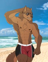  abs anthro beach belly biceps black_bottomwear black_clothing black_swimming_trunks black_swimwear blue_sky bottomwear brown_body brown_ears brown_face brown_fur brown_nipples bulge canid canine canis closed_smile clothed clothing cloud countershade_arms countershade_ears countershade_face countershade_fur countershade_tail countershade_torso countershading dante_(jimbob123432) day eyewear fluffy fluffy_tail front_view fur glistening glistening_bottomwear glistening_clothing glistening_eyewear glistening_nipples glistening_nose glistening_sunglasses glistening_swimming_trunks glistening_swimwear hi_res icon light long_tail looking_aside male mammal monotone_belly mouth_closed multicolored_body multicolored_bottomwear multicolored_clothing multicolored_ears multicolored_face multicolored_fur multicolored_swimming_trunks multicolored_swimwear multicolored_tail muscular muscular_anthro muscular_arms muscular_male navel nipples outside pecs pinup portrait pose prick_ears red_bottomwear red_clothing red_swimming_trunks red_swimwear sand seaside shadow signature sky smile snout solo standing sunglasses sunlight swimming_trunks swimwear tail tail_aside tan_belly tan_body tan_countershading tan_ears tan_face tan_fur tan_tail teasfox teeth three-quarter_portrait topless two_tone_body two_tone_ears two_tone_face two_tone_fur two_tone_tail v-cut water white_bottomwear white_clothing white_swimming_trunks white_swimwear wolf 