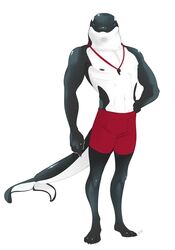  anthro athletic athletic_anthro athletic_male cetacean claws clothed clothing dolphin hi_res jewelry male mammal marine muscular necklace nipples oceanic_dolphin orca peritian red_clothing red_swimming_trunks red_swimwear reik_(peritian) solo swimming_trunks swimwear toothed_whale topless whistle_(object) 