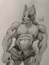  abs anthro barazoku canid canine canis clawed_fingers claws clothing eye_patch eyewear fur hi_res looking_at_viewer male mammal muscular muscular_anthro muscular_male nintendo nipples pecs pinumontbalou smile solo star_fox swimwear tail wolf wolf_o&#039;donnell 