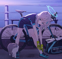  animal_ear_fluff animal_ears bad_id bad_twitter_id bent_over bicycle black_bag black_shirt black_shorts blue_archive commentary_request cross_hair_ornament cutout_gloves cycling_uniform extra_ears feline female full_body gloves grey_hair hair_ornament halo highres long_hair looking_at_animal morning ocean official_alternate_costume outdoors road shiroko_(blue_archive) shiroko_(cycling)_(blue_archive) shirt shorts sidelocks solo stretching t-shirt wolf_ears yellow_gloves yutokamizu 