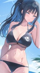  alternate_costume bikini black_bikini blue_archive blue_eyes blue_hair blush breasts closed_mouth commentary_request day female highres large_breasts long_hair looking_at_viewer navel outdoors ponytail saori_(blue_archive) shougun_(chuckni1) solo stomach swimsuit underboob 