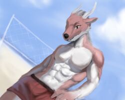  abs absurd_res anthro athletic athletic_male beach bottomwear clothed clothing cloud countershade_arms countershade_neck countershade_torso countershading dragon fur furred_dragon furred_scalie hi_res horn humanoid huntings looking_at_viewer male muscular mythological_creature mythological_scalie mythology net red_body red_bottomwear red_clothing red_fur scalie shirtless shirtless_male sky smile solo swimming_trunks swimwear topless volleyball_net white_body white_countershading white_fur white_horn 