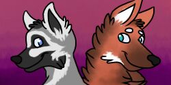  2:1 animated anthro blep blue_eyes canid cheek_tuft closed_smile duo facial_tuft fur glistening glistening_eyes gradient_background grey_body grey_fur head_tuft lemur male mammal mouth_closed neck_tuft orange_body orange_fur pink_tongue primate simple_background smile strepsirrhine tongue tongue_out tuft white_body white_fur yookie 