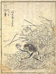  1776 18th_century ambiguous_gender ancient_art asian_mythology east_asian_mythology feral hair japanese_mythology japanese_text kappa leaf markings membrane_(anatomy) monochrome multicolored_body mythology outside plant solo spots spotted_markings text toriyama_sekien traditional_media_(artwork) translated two_tone_body water webbed_hands yokai 