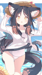  :o animal_ear_fluff animal_ears arms_up black_hair blue_sky blurry blurry_foreground blush brown_eyes brown_hair brown_hat cat_ears cat_girl cat_tail cloud commentary_request covered_navel daidai_ookami day depth_of_field drawstring female flower forehead hands_on_headwear hat highres horizon jacket long_hair looking_at_viewer multicolored_hair ocean old_school_swimsuit one-piece_swimsuit open_clothes open_jacket original outdoors parted_bangs parted_lips school_swimsuit sky solo standing straw_hat sunflower swimsuit swimsuit_under_clothes tail two-tone_hair water white_jacket white_one-piece_swimsuit yellow_flower 