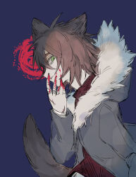  1boy animal_ears bandaged_arm bandages blood blood_on_clothes blood_on_face blood_on_hands blue_background brown_hair commentary_request from_side fur-trimmed_jacket fur_trim green_eyes grey_jacket highres hood hood_down hooded_jacket isoi_reiji jacket male_focus medium_hair nomi_(nomi0926) open_clothes open_jacket pale_skin red_shirt saibou_shinkyoku scar scar_on_hand shirt simple_background solo tail wolf_boy wolf_ears wolf_tail 