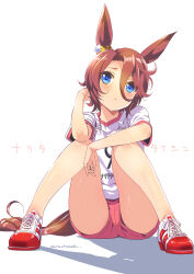  animal_ears artist_name blue_eyes brown_hair commentary_request female flower frown full_body hair_between_eyes highres horse_ears horse_girl inoue_sora knees_up looking_at_viewer narita_taishin_(umamusume) no_socks original_race_uniform_(umamusume) panties panty_peek pink_shorts race_bib shadow shirt shoes short_hair short_sleeves shorts simple_background sitting sneakers solo sweat umamusume underwear upshorts white_background white_shirt 