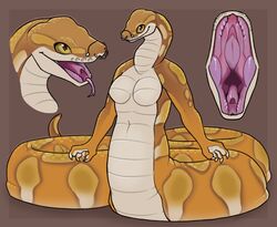  1girls anthro big_tail body_pattern breasts brown_background claws featureless_breasts female forked_tongue glasses heat_pits long_neck long_tail markings monochrome_background naga open_mouth pattern reference_sheet royalty_(artist) scalie simple_background slit_pupils small_glasses snake snake_humanoid solo spectacles tongue white_belly yellow_eyes yellow_sclera 