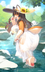  4_fingers 4_toes anthro big_breasts breasts brown_body brown_eyes brown_hair canid canine canis chunithm_luminous clothing cloud creek domestic_dog dress feet female fingers fluffy hair hat headgear headwear hi_res inner_ear_fluff inuko_mimimi_(sega) kishibe mammal multicolored_body open_mouth pawpads plant rock sky solo sun_hat sundress swimwear toes translucent translucent_clothing tuft wet wet_clothing white_body 