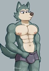  1boy 2023 4_fingers anthro anthro_only baxter7020 baxtertvin beastars black_eyes bottomless bulge bulge_through_clothing canid canine checking_out_self erect_nipples gay grey_background grey_fur holding_underwear legoshi_(beastars) male_only muscular_male purple_underwear simple_background solo_male tagme topless twitter underwear_bulge underwear_only wolf yellow_fur 