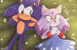  anthro blaze_the_cat blue_body blush clothed clothing domestic_cat dress duo eulipotyphlan felid feline felis female flower gloves grass handwear heart_symbol hedgehog hi_res love lying male male/female mammal plant purple_body sega smile sonic_the_hedgehog sonic_the_hedgehog_(series) spidercheetos 