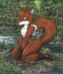  1998 ambiguous_gender anthro archived_source brian_edwards canid canine cattail_(plant) creek dipstick_tail feet fox grass mammal markings niffad nude orange_body plant red_fox sitting solo tail tail_markings traditional_media_(artwork) true_fox yellow_eyes 