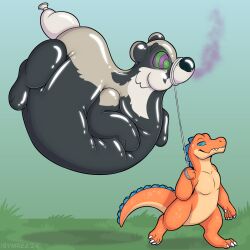  animate_inanimate badger balloon blue_eyes crocodile crocodilian crocodylid duo hi_res hypnosis inflatable inflation living_inflatable mammal mind_control mustelid musteline orange_body outside reptile scalie simple_background symrea 