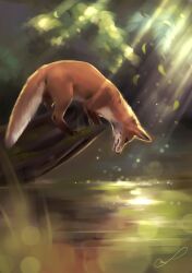  2017 absurd_res ambiguous_feral ambiguous_gender black_eyes black_nose canid canine colored day digital_media_(artwork) digital_painting_(artwork) feral fluffy fluffy_tail fox fur hi_res leaf light light_beam lighting log looking_at_water mammal martith on_log orange_body orange_fur orange_tail outside plant pond quadruped red_fox redraw shaded shrub side_view signature solo sunbeam sunlight tail tree true_fox whisker_spots white_body white_fur white_tail wood 