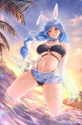  animal_ear_fluff animal_ears bikini black_bikini blue_hair braid fake_animal_ears highres hololive jacket kneeling multicolored_hair napozouattop ocean palm_tree pekomama rabbit_ears rabbit_girl see-through see-through_jacket sunset swimsuit tree twitter_username two-tone_hair virtual_youtuber white_hair white_jacket 