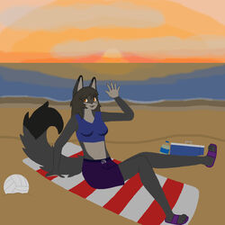  1:1 absurd_res anthro beach breasts brown_hair canid canine clothing crop_top ears_up facial_markings female fox fur garfieldkartisfun grey_body grey_fur hair happy head_markings hi_res mammal markings maya_(gkif) navel orange_eyes paws sandels seaside shirt sitting small_breasts solo striped_face stripes sunset swimming_trunks swimwear tan_body tan_fur topwear 