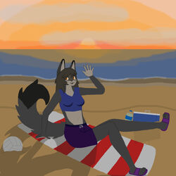  1:1 absurd_res beach breasts brown_hair canid canine clothing crop_top ears_up facial_markings female fox fur garfieldkartisfun grey_body grey_fur hair happy head_markings hi_res mammal markings maya_(gkif) navel orange_eyes paws sandels seaside shirt sitting small_breasts solo striped_face stripes sunset swimming_trunks swimwear tan_body tan_fur topwear 