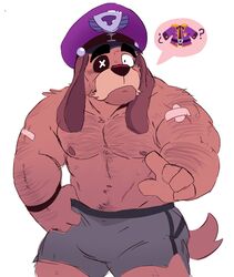  bandages bara brawl_stars buff canine colonel_ruffs dog eyepatch fur gay hairy hairy_male hat looking_at_viewer male male_only mrpandhew scars tagme underwear 