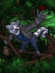  3:4 anthro apple barefoot biped bottomwear clothed clothing eyewear feet food fruit fur glasses grey_body grey_fur hi_res jacket jakkal lemur male mammal outside pamiiruq pants plant prehensile_feet prehensile_tail primate ring-tailed_lemur shirt solo strepsirrhine tail toes topwear tree white_body white_fur yellow_eyes 