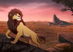  avian bird black_mane cloud disney felid feral grass green_eyes grimhild_(artist) kodiak_(kodiak079) landscape lion looking_back male mammal mane mountain pantherine plant pride_lands pride_rock proud savanna serious_face solo sunset the_lion_king tree walking wind 