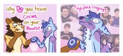  2_panel_comic ambiguous_gender andromorph_(lore) anthro arm_tuft bite biting_lip blue_body blue_fur blue_hair border brown_body brown_fur brown_hair canid canine cheek_tuft chest_tuft cringing dan_and_phil dialogue duo ears_back elbow_tuft english_text facial_tuft felid female fox fur green_markings gynomorph_(lore) hair half-closed_eyes hi_res humor lion luckfoxo33 male mammal mane mane_hair markings narrowed_eyes open_mouth pantherine pink_background pivoted_ears purple_body purple_fur simple_background sound_effects tan_body tan_fur tatum_koenig text tolng trans_(lore) trans_man_(lore) trans_woman_(lore) tuft white_border wide_eyed yellow_body yellow_fur youtuber 