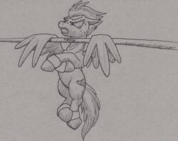  bar chin_up clenched_teeth cutie_mark doesnotexist equid equine feathered_wings feathers female friendship_is_magic hasbro hi_res hooves mammal mane monochrome my_little_pony mythological_creature mythological_equine mythology pegasus pen_(artwork) solo spitfire_(mlp) teeth traditional_media_(artwork) wings wonderbolts_(mlp) 