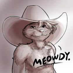  1:1 anthro clothing cowboy_hat felid hat hawkpelt headgear headwear hi_res male mammal raemyshu smile solo 