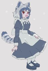  animal_ears black_footwear blush bow common_raccoon_(kemono_friends) female frills grey_background grey_bow grey_hair kemono_friends maid naka_(buttergirl_02) oerba_yun_fang open_mouth raccoon_ears raccoon_tail red_eyes simple_background skin_fang solo star_(symbol) tail white_bow 