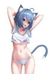  absurdres ahoge animal_ear_fluff animal_ears arms_behind_head arms_up ass_visible_through_thighs blue_eyes blue_hair breasts cat_ears cat_girl cat_tail cowboy_shot crop_top crossed_bangs dot_nose female hair_between_eyes highres looking_to_the_side medium_hair navel no_pants open_mouth original panties pjman short_sleeves simple_background small_breasts solo standing stomach tail underwear white_background white_panties 