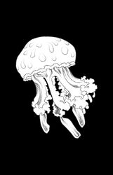  ambiguous_gender armless black_background cnidarian earless eyeless feral iliothermia jellyfish legless marine medusozoan noseless simple_background solo spots spotted_body white_body 