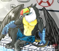  anthro avian beak bird clothing feather_ear feathers gryphon male muscular mythological_avian mythological_creature mythology paws smile solo summer sun_glare swimming_pool swimwear tail talon_hands toucan wings yamatopawa 