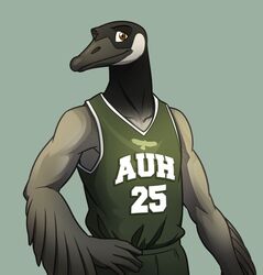 5_fingers anatid anseriform anserinae anthro avian basketball basketball_uniform beak biceps biped bird black_body bottomwear brown_eyes canada_goose clothing collarbone competition_number edwin_griega fba feathers fingers goose green_background green_bottomwear green_clothing green_pants green_shirt green_sleeveless_shirt green_topwear grey_beak grey_body grin hand_on_hip jersey male muscular muscular_anthro muscular_male number number_on_clothing number_on_jersey number_on_topwear number_print pac pants pecs pose print_clothing print_jersey print_topwear shirt shorts simple_background sleeveless_shirt smile solo sport sportswear standing tank_top text text_on_clothing text_on_jersey text_on_topwear text_print topwear uniform vest