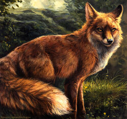 2014 black_nose canid canine detailed detailed_background digitigrade feral fluffy fluffy_tail fox fur grass inner_ear_fluff kenket leg_markings long_mouth looking_at_viewer mammal markings nature no_sclera nude orange_body orange_fur outside painting_(artwork) plant poetry quadruped red_fox sly smile snout socks_(marking) solo standing tail traditional_media_(artwork) tree true_fox tuft whiskers white_body white_fur