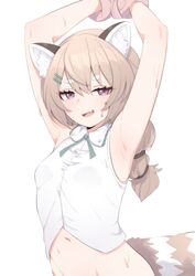  absurdres animal_ear_fluff animal_ears armpits arms_up breasts brown_hair commentary english_commentary female hair_between_eyes hair_ornament hairclip highres komachi_panko long_hair looking_at_viewer oerba_yun_fang open_mouth phase_connect pink_eyes red_panda_ears red_panda_girl red_panda_tail shirt skin_fang sleeveless sleeveless_shirt small_breasts solo tail valefal_coneri virtual_youtuber white_shirt 