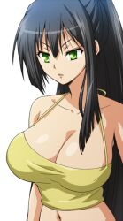  bare_shoulders black_hair breasts cleavage female green_eyes hairu kore_wa_zombie_desu_ka? large_breasts long_hair navel ponytail seraphim_(korezom) solo very_long_hair 