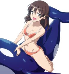  :d barefoot bikini breasts brown_eyes brown_hair cleavage female hairu kyouno_madoka looking_at_viewer medium_breasts navel open_mouth orange_bikini rinne_no_lagrange simple_background sitting smile solo swimsuit whale white_background 