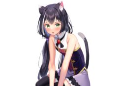  animal_ears black_hair blush catgirl flat_chest green_eyes k_mugura karyl long_hair oerba_yun_fang princess_connect! skirt tail thighhighs twintails white zettai_ryouiki 