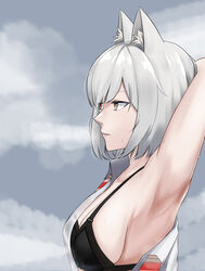  animal_ear_fluff animal_ears armpits black_bra bra breasts closed_mouth cloud cloudy_sky commission female grey_hair hand_on_own_head heterochromia highres korean_commentary looking_away medium_breasts medium_hair open_clothes original photoshop_(medium) profile red_eyes sky solo sweatdrop tewaki underwear yellow_eyes 